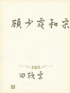 顾少霆和宋斯曼