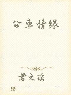 公车情缘