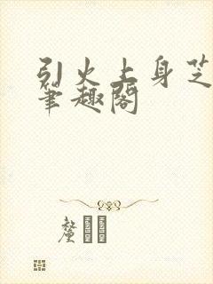 引火上身芝麻糖笔趣阁