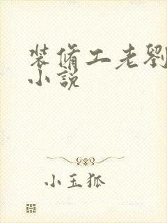 装修工老刘林雪小说