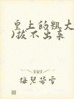 皇上的粗大(h)拔不出来