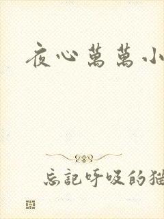 夜心万万小说