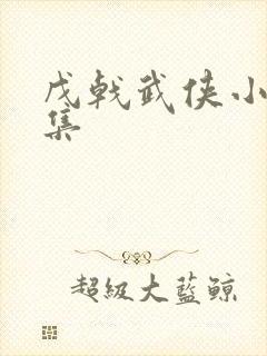 戊戟武侠小说全集