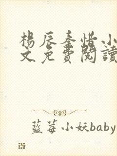 杨辰秦惜小说全文免费阅读最新