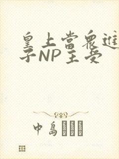 皇上当众进入太子NP主受