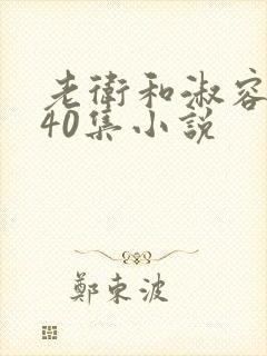 老卫和淑容1-40集小说