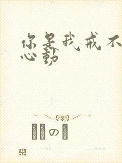 你是我戒不掉的心动