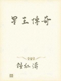 星王传奇