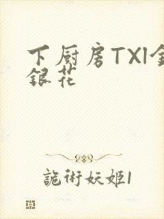 下厨房TXl金银花