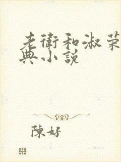 老卫和淑荣的经典小说