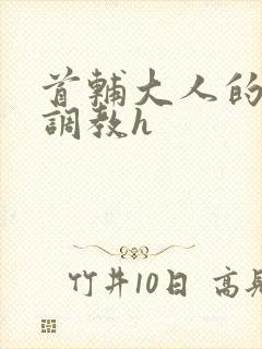 首辅大人的花式调教h