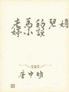 老马的儿媳顾婉婷小说