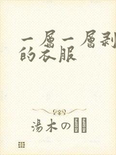 一层一层剥掉你的衣服