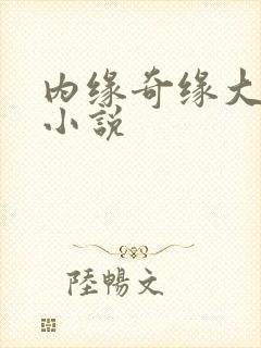 内缘奇缘大团圆小说