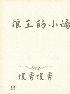 狼王的小娇妻