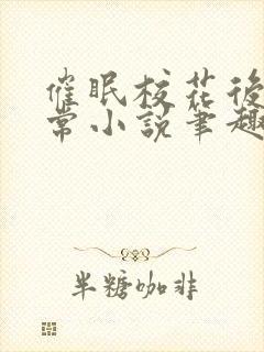 催眠校花后的日常小说笔趣阁