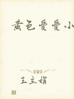 黄色爱爱小说