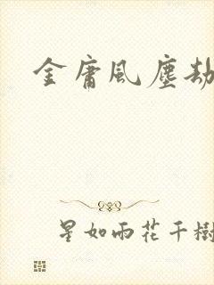 金庸风尘劫