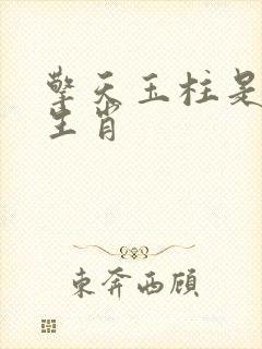 擎天玉柱是什么生肖