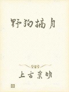 野狗摘月