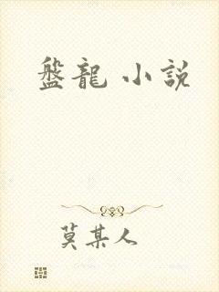 盘龙 小说