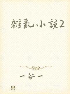杂乱小说2