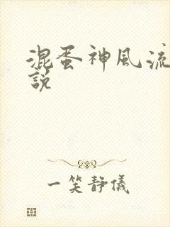 混蛋神风流史小说