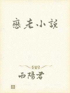 恋老小说