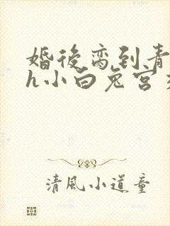 婚后脔到青梅哭h小白兔宫交h