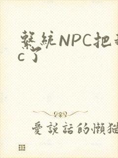 系统NPC把我c了