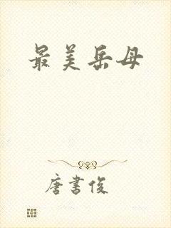 《最美岳母》小说封面