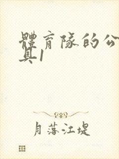 体育队的公用玩具1