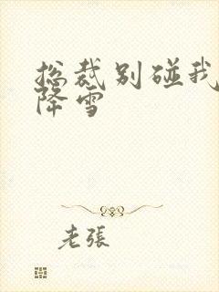 总裁别碰我 韩降雪