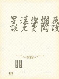 星汉灿烂原著小说免费阅读