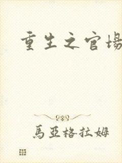 重生之官场风流