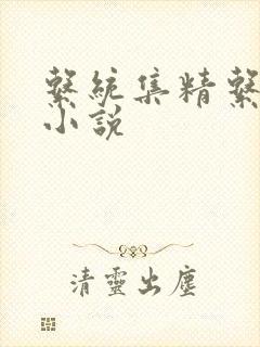 系统集精系统 小说