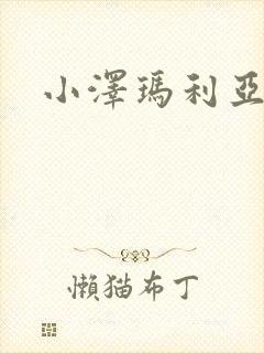 小泽玛利亚作品