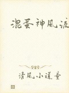 混蛋神风流记
