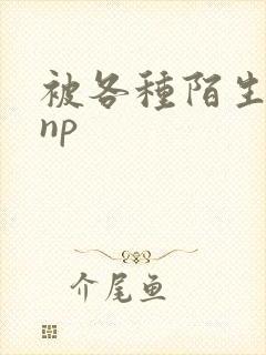 被各种陌生人 np