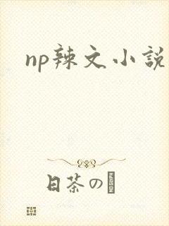 np辣文小说