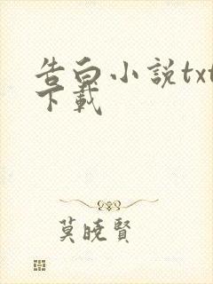 告白小说txt下载