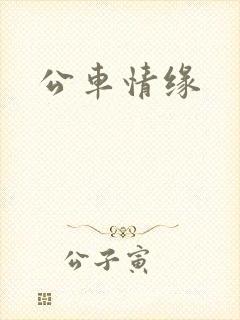 公车情缘
