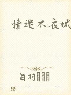 情迷不夜城