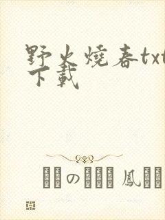 野火烧春txt下载