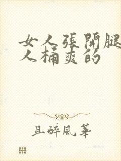 女人张开腿让男人桶爽的