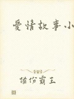 爱情故事小说