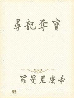 寻龙夺宝