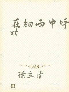 在细雨中呼喊txt