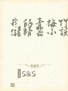 我的青梅竹马是储精器小说