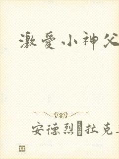 激爱小神父